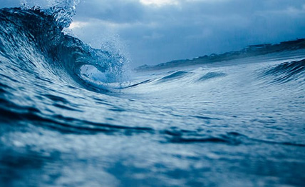 williamhill������ϣ��(����)Ψһ���Ĺٷ���վ-Official website